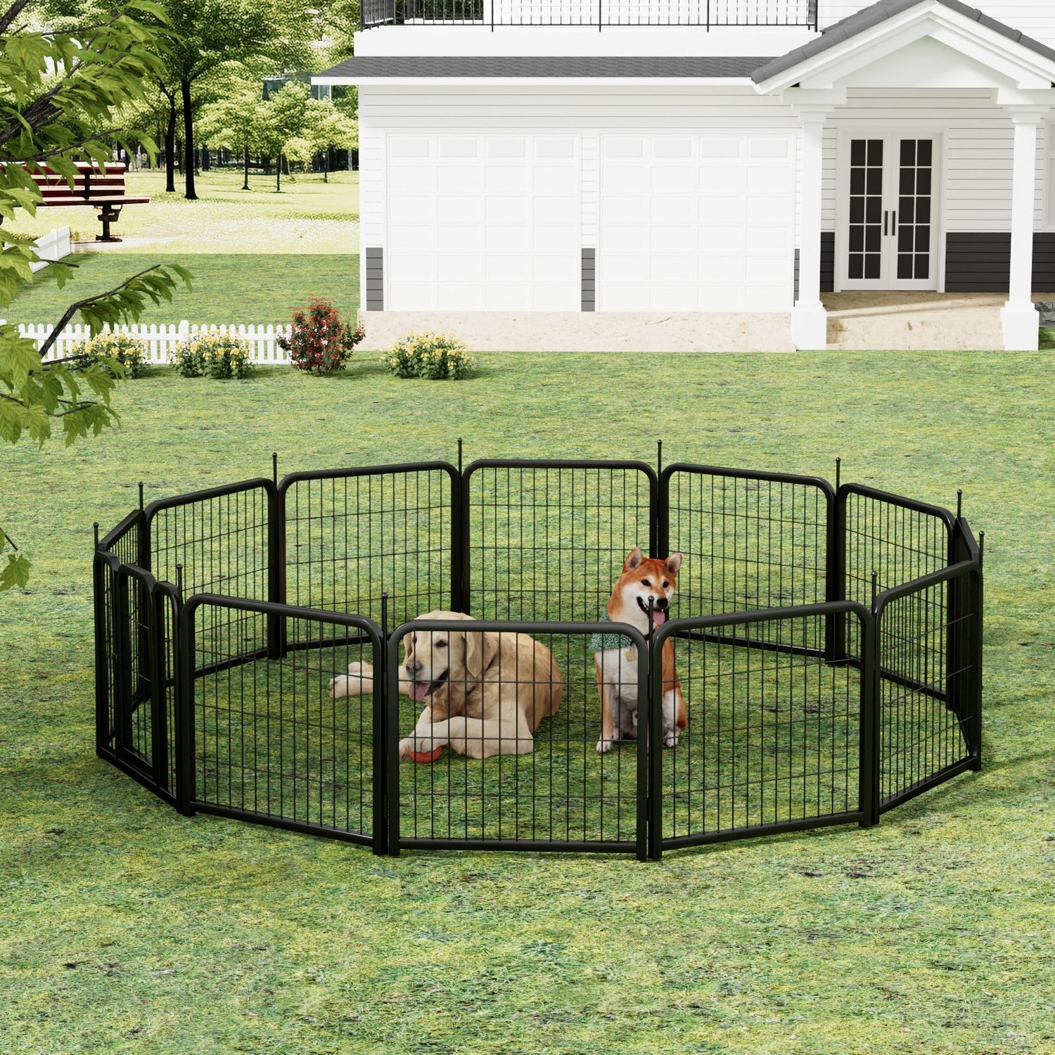 Pet Fence