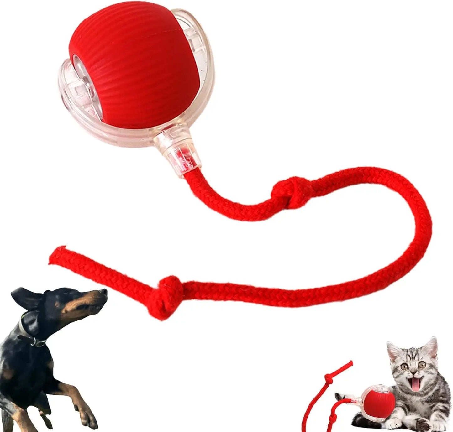 Bite resistant automatic cat teasing ball cat toy ball self fun and stress relieving tool with rope pet supplies jumping ball