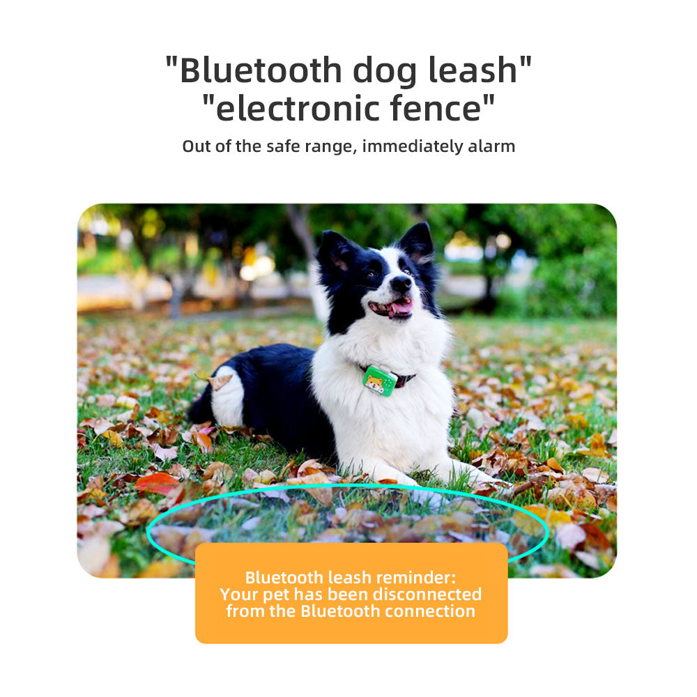 Pet Locator With Electronic Fence Alarm Function Can Effectively Monitor Pets In Real Time