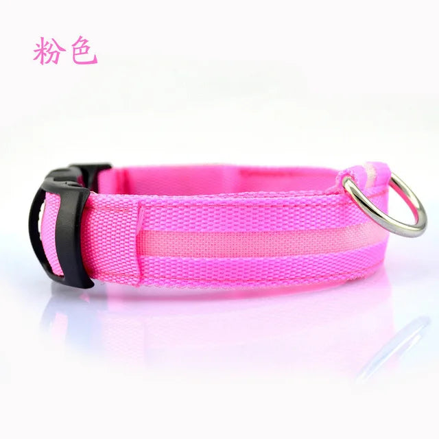 Nylon LED Pet dog Collar,Night Safety Flashing Glow In The Dark Dog Leash