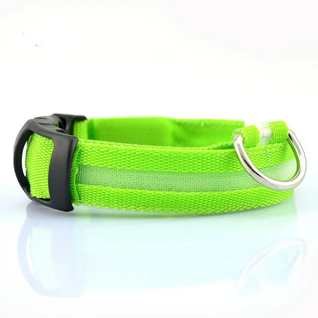 Nylon LED Pet dog Collar,Night Safety Flashing Glow In The Dark Dog Leash