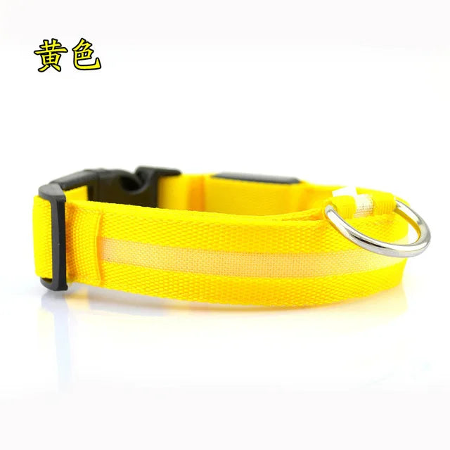 Nylon LED Pet dog Collar,Night Safety Flashing Glow In The Dark Dog Leash